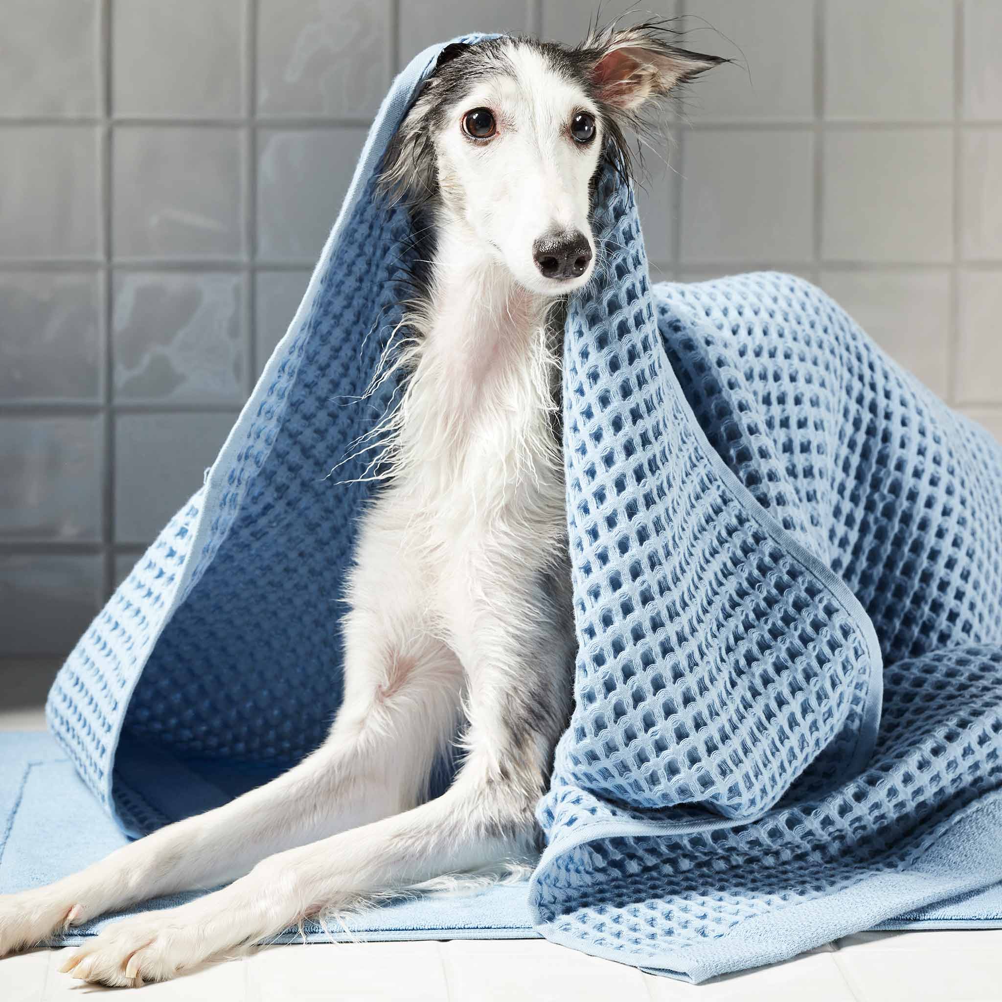 Thumbnail 12